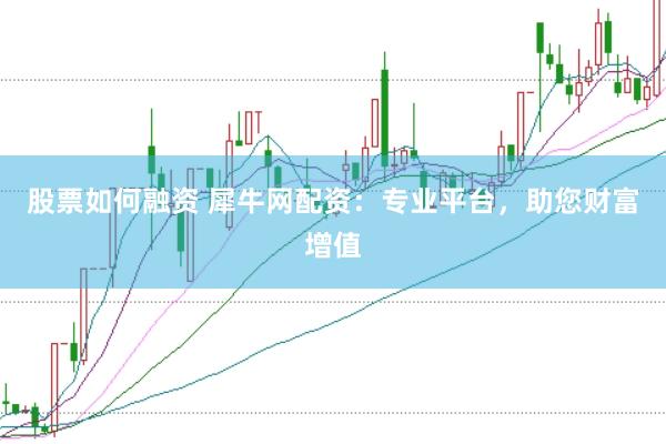 股票如何融资 犀牛网配资：专业平台，助您财富增值