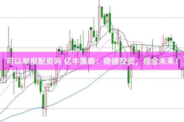 可以举报配资吗 亿牛策略：稳健投资，掘金未来！