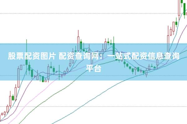股票配资图片 配资查询网：一站式配资信息查询平台