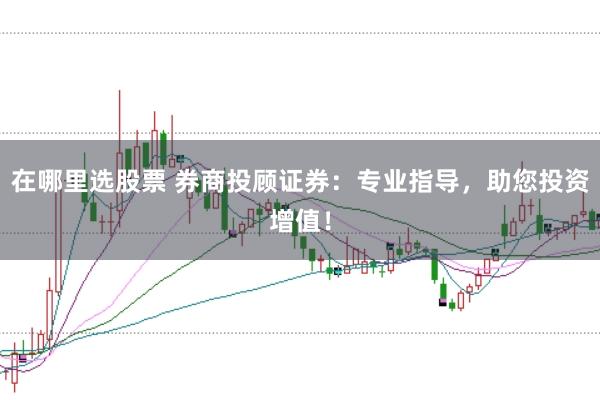 在哪里选股票 券商投顾证券：专业指导，助您投资增值！