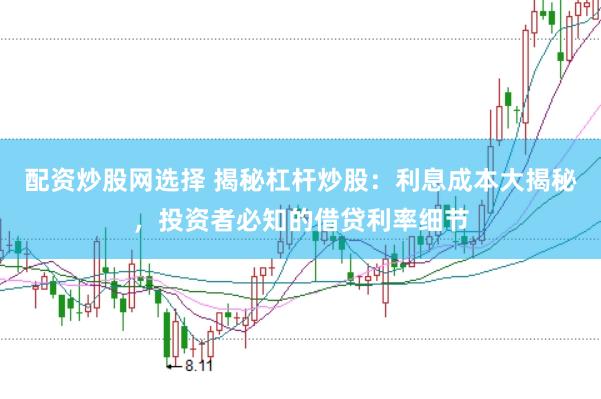 配资炒股网选择 揭秘杠杆炒股：利息成本大揭秘，投资者必知的借贷利率细节