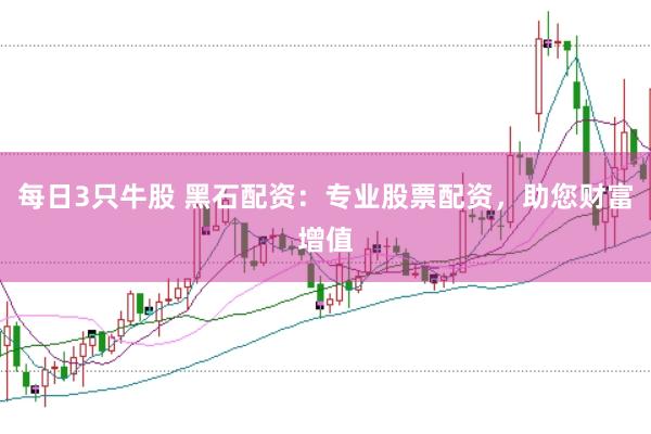 每日3只牛股 黑石配资：专业股票配资，助您财富增值