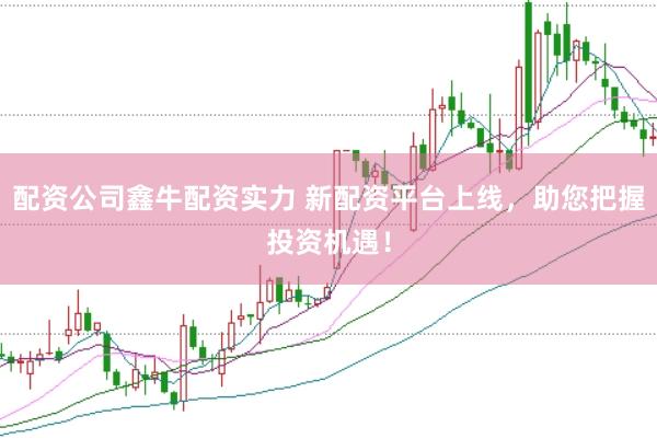 配资公司鑫牛配资实力 新配资平台上线，助您把握投资机遇！