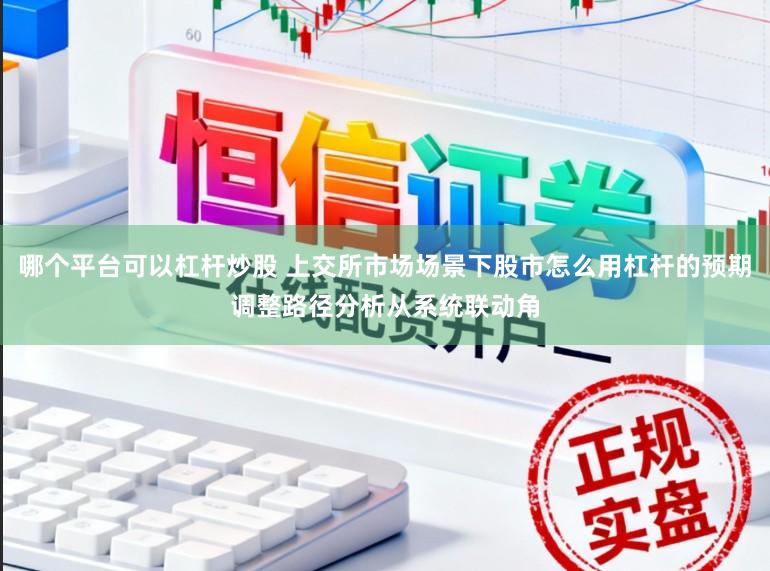 哪个平台可以杠杆炒股 上交所市场场景下股市怎么用杠杆的预期调整路径分析从系统联动角
